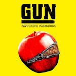 GUN
